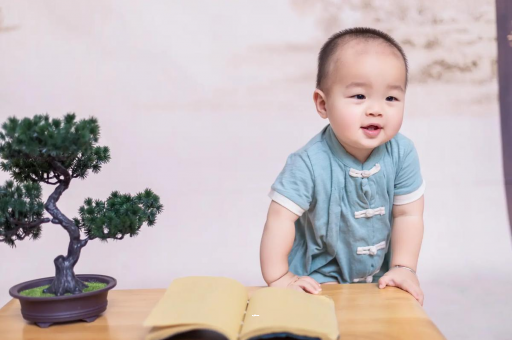 榆林可爱的企鹅宝宝